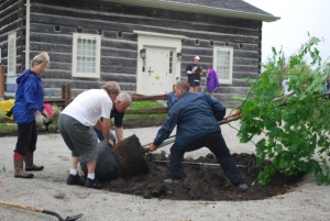 Volunteers installing trees at Leslie Log House