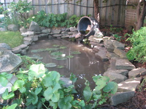 Backyard pond on Garden Tour